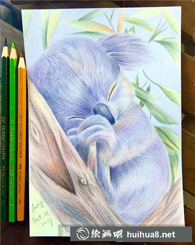 動物彩鉛