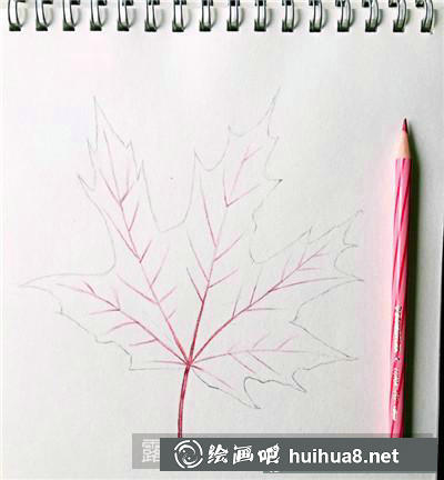 植物彩鉛