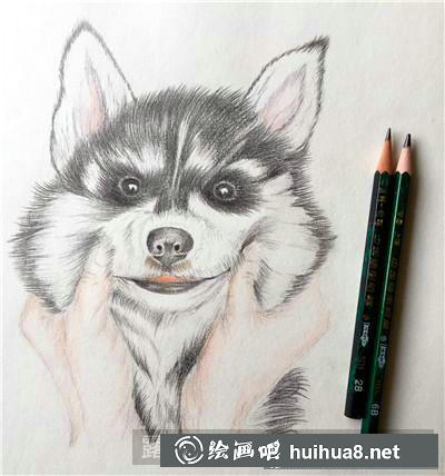 貓咪彩鉛