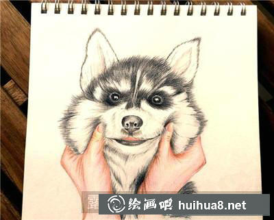 動(dòng)物彩鉛