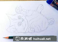 彩鉛畫貓咪打滾教程