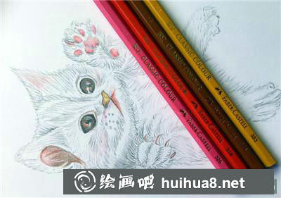 動(dòng)物彩鉛