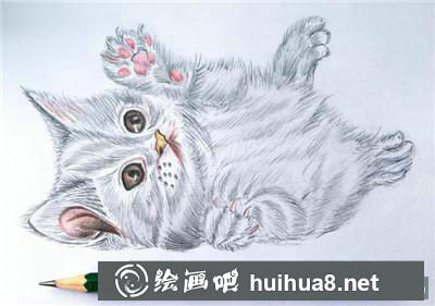 動(dòng)物彩鉛