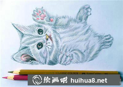 動(dòng)物彩鉛