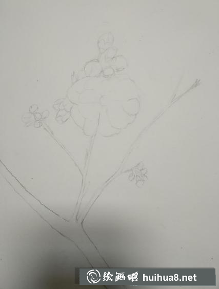 水彩畫一枝花