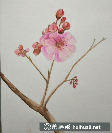 水彩畫一枝花