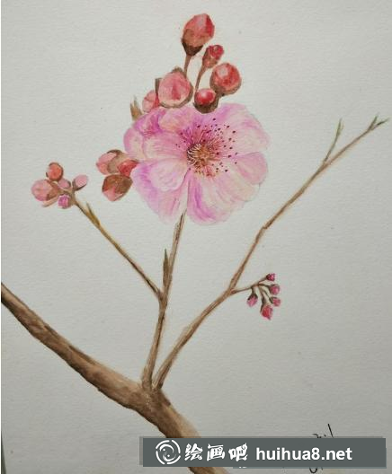 水彩畫一枝花