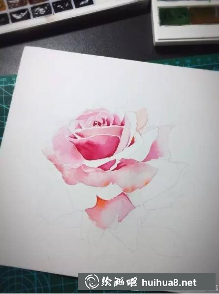水彩畫粉玫瑰