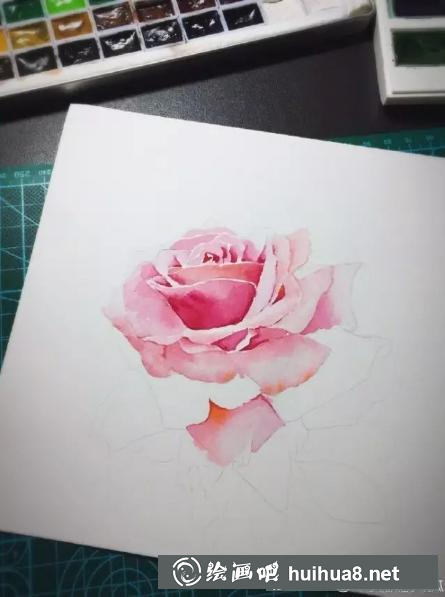 水彩畫粉玫瑰