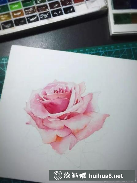 水彩畫粉玫瑰