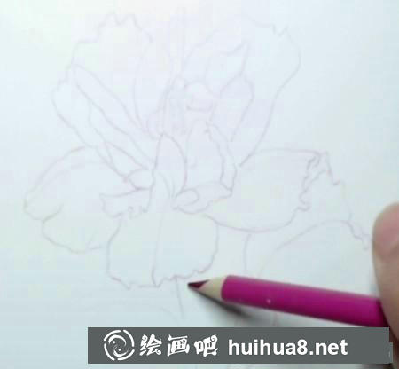 彩鉛畫教程