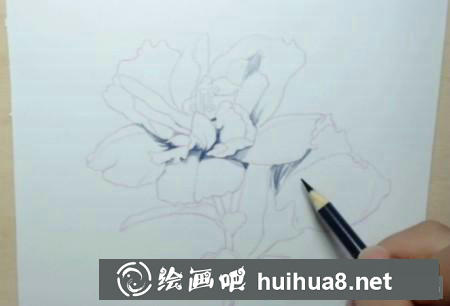 彩鉛畫教程
