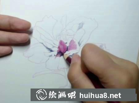 彩鉛畫教程