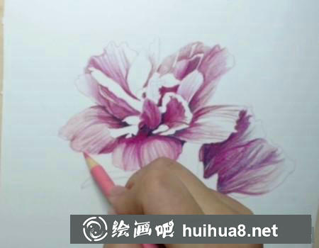 彩鉛畫教程