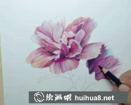 彩鉛畫教程