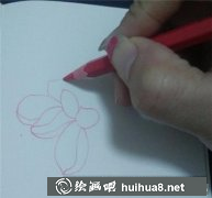 水彩荷畫教程入門