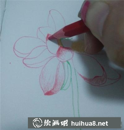 荷花的畫法