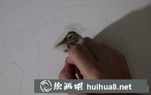 彩鉛畫狗狗