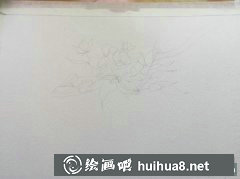 李花水彩畫步驟詳解