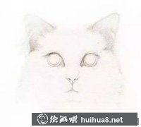 水彩繪貓咪教程分享