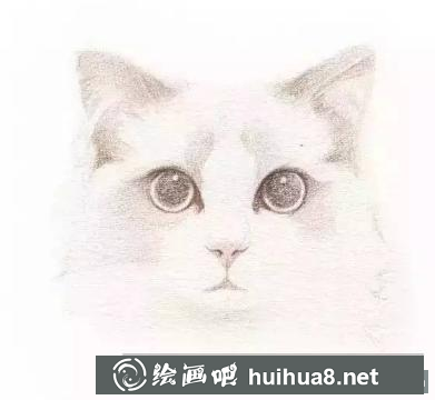 水彩畫貓