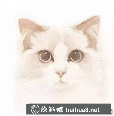 水彩畫貓