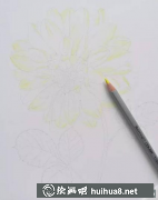 油性彩鉛繪花教程步驟詳解
