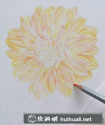 油性彩鉛畫花卉步驟