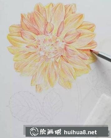 油性彩鉛畫花卉步驟