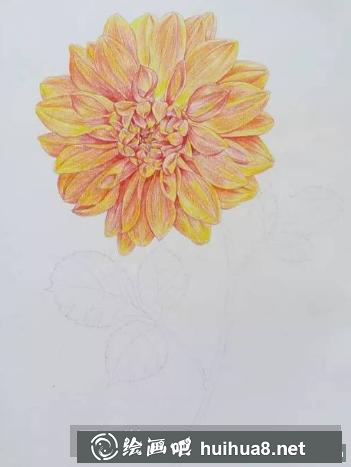 油性彩鉛畫花卉步驟