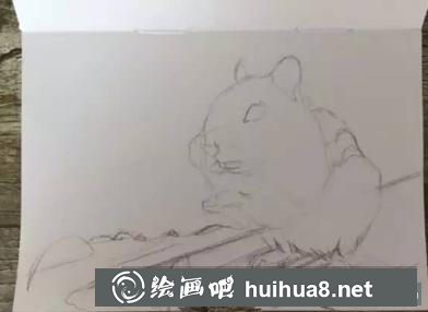 彩鉛畫小松鼠