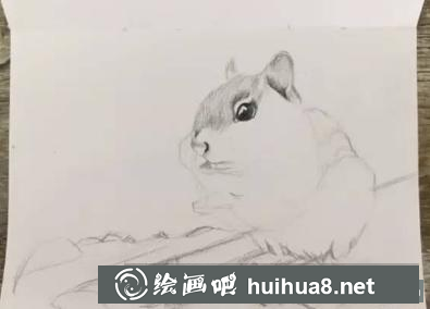 彩鉛畫小松鼠