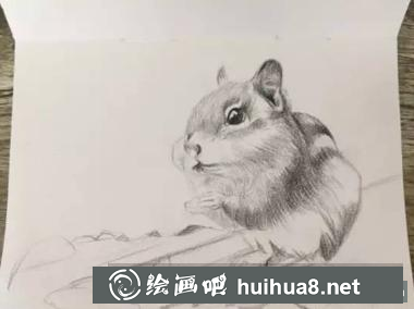 彩鉛畫小松鼠