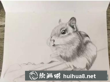 彩鉛畫小松鼠