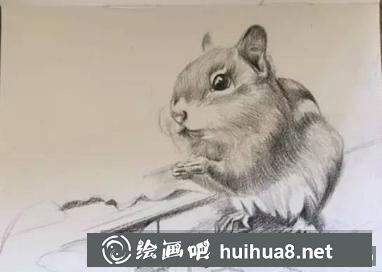 彩鉛畫小松鼠