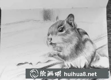 彩鉛畫小松鼠