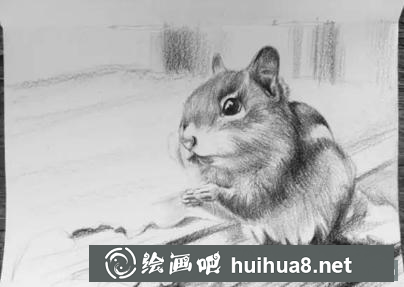彩鉛畫小松鼠