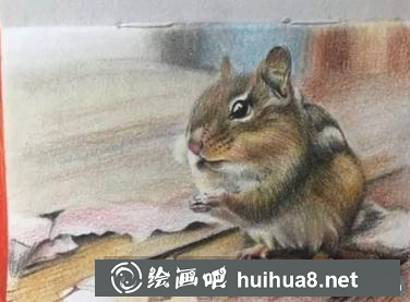 彩鉛畫小松鼠