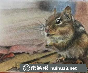 彩鉛畫小松鼠