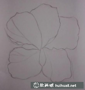 零基礎(chǔ)彩鉛繪教程：畫小花步驟全解