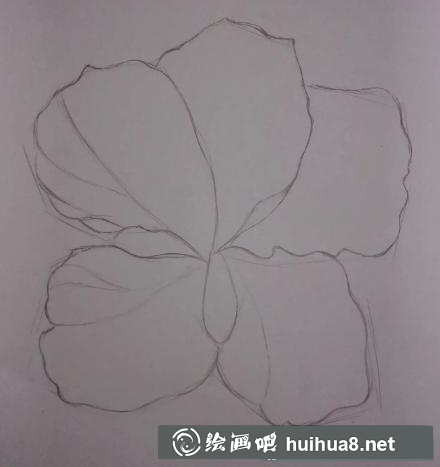 彩鉛畫花