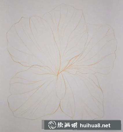 彩鉛畫花