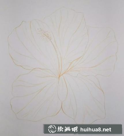 彩鉛畫花