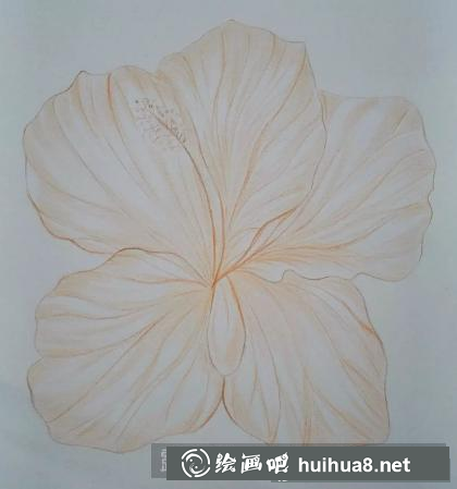 彩鉛畫花