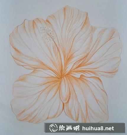 彩鉛畫花