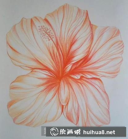彩鉛畫花