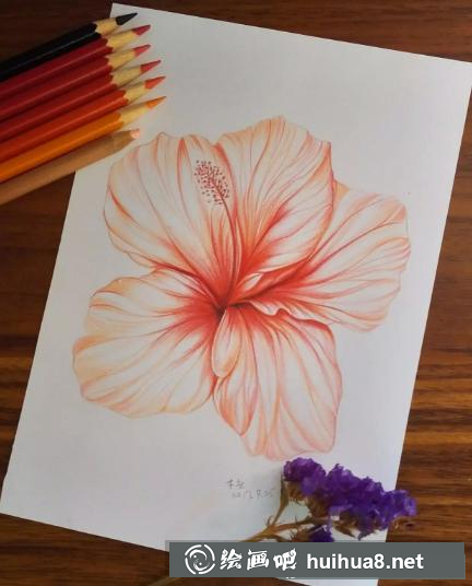 彩鉛畫花