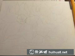 水仙花瓣畫法教程