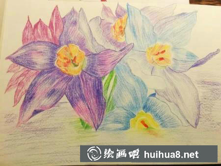 彩鉛畫教程