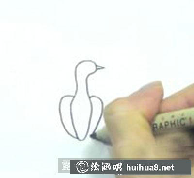 兒童畫教程：教大家怎么畫孔雀